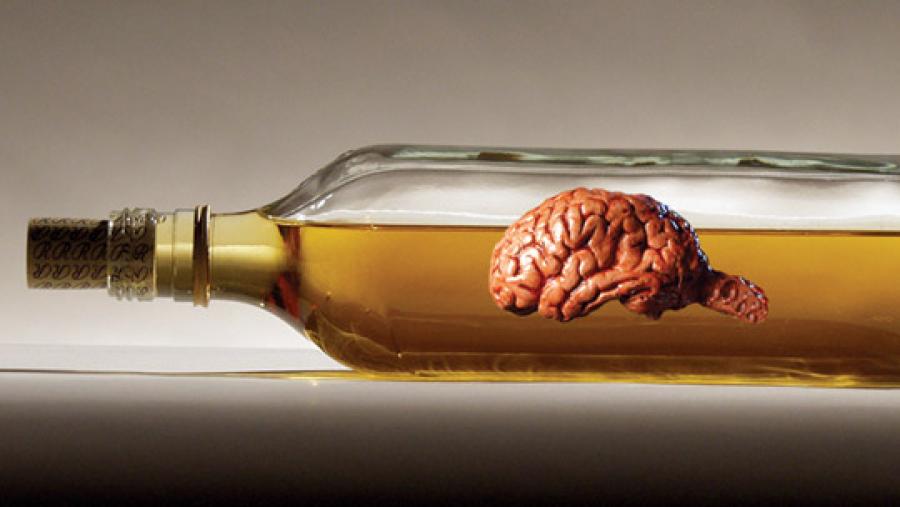 This Is Your Brain On Alcohol Alcohol Abuse Education DVD