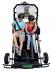 Innocorp, ltd. certified instructors will work with your trainers to fine-tune your prevention lesson using SIDNE® Impaired Driving Simulator, and prepare them to deliver a successful program.