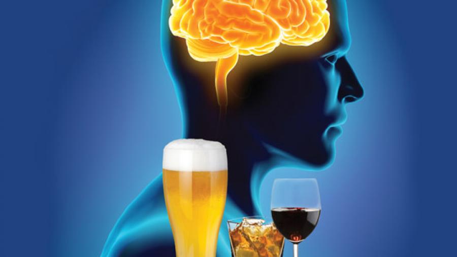 Alcohol And The Developing Brain Alcohol Education DVD